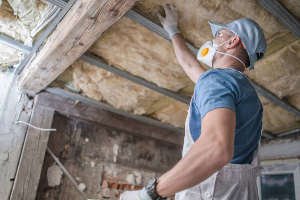 Best Insulation for Specific Applications in Bethany, MO